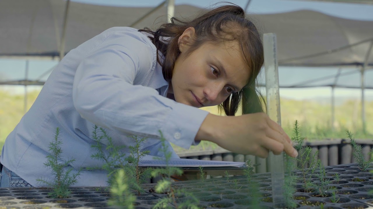 No es la cámara, es cómo la usamos: trucos visuales que te hacen brillar