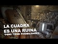 LIMPIANDO la CUADRA DE LA CASA después de años ABANDONADA