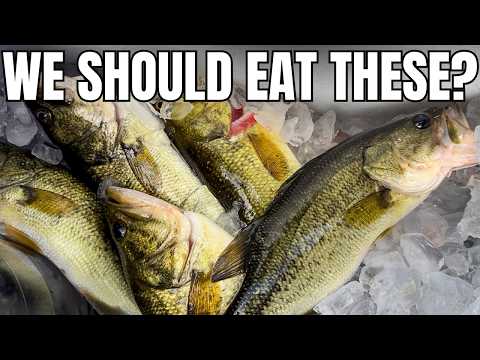 Why Don't More People Eat Largemouth Bass?