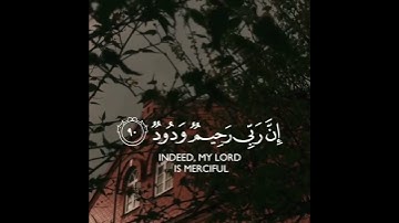 سورة هود ﴿ وَاسْتَغْفِرُوا رَبَّكُمْ ثُمَّ تُوبُوا إِلَيْهِ إِنَّ رَبِّي رَحِيمٌ وَدُودٌ (٩٠) ﴾