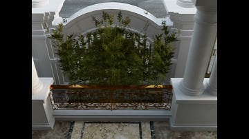 Sân vườn 2021 07  Enscape 2021 11 19 12 23 48