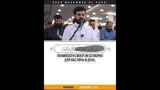 📖 Аль-Касас 🎙 Чтец -  رعد محمد الكردي | Raad Mohammad al Kurdi