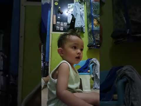 Anak kecil  bljr nama  nama  hewan  lucu  YouTube