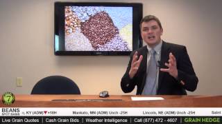 GrainTV - February 2, 2015