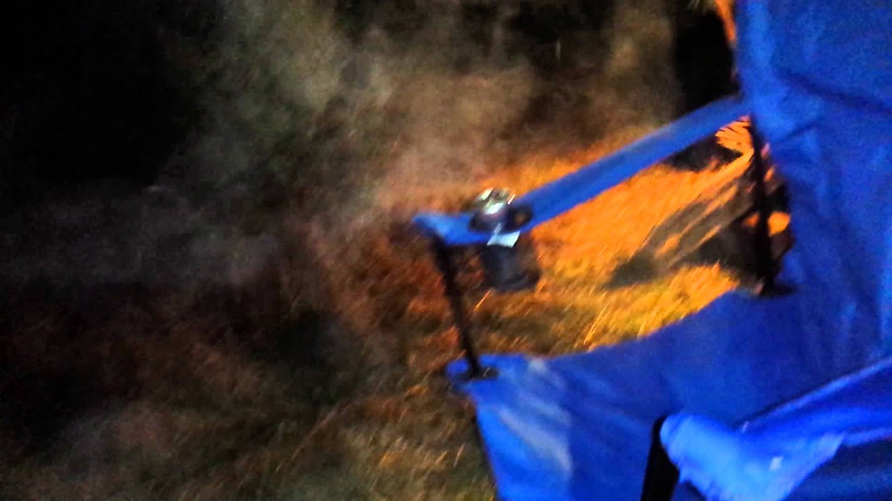 Ohio coyotes / coydogs surround camp