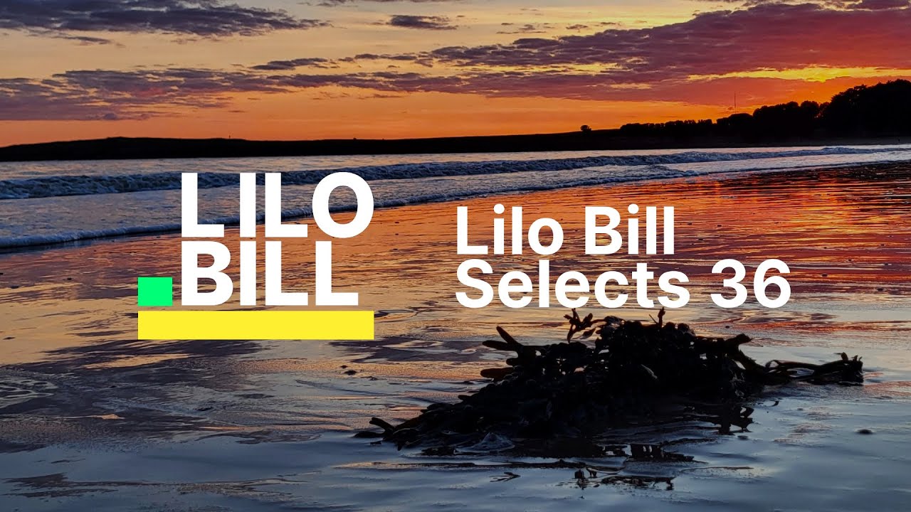 Lilo Bill Selects 36: Trance & Progressive (Mixed)