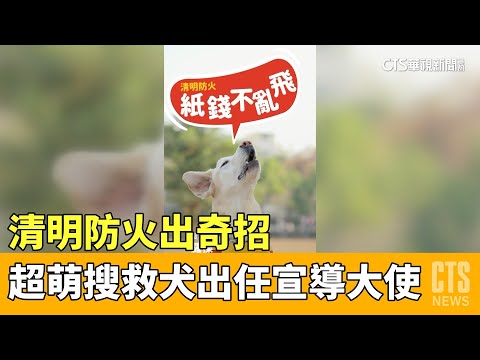 清明防火出奇招　高市超萌搜救犬出任宣導大使｜華視新聞 20230401