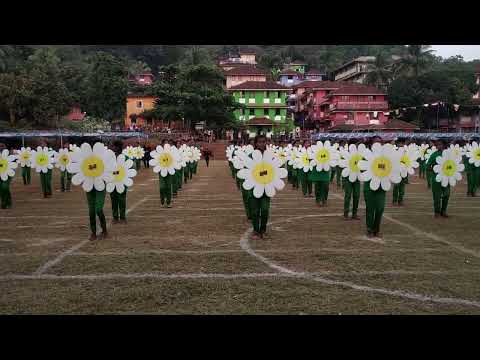 Flower drill   sports day