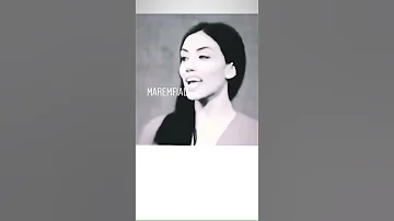الأسد لايرد على الكلاب 