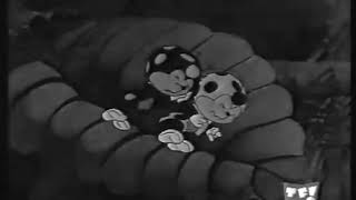 Cococinel 07 Le Typograhe