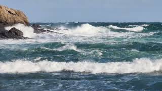 The Black Sea is Blue 2022