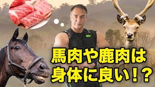 本当は身体に良い！？馬肉や鹿肉の驚くべき効果を山本義徳氏が解説！