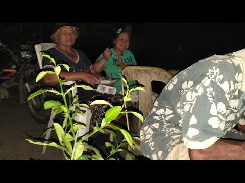 BAKASYON 2026/FAMILY BONDING SA FARM BAGO BUMALIK SA WORk