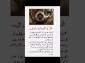 Golden Words Urdu quotes about life/#quotes#respect#viral#islam#muslim