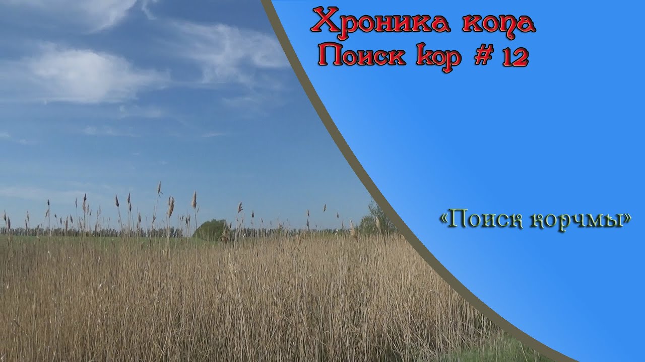 Поиск kop #12 май 2015 "Поиск корчмы"