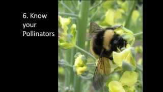 Webinar: Planning Your Garden for Seed Saving 2013