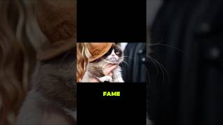 Grumpy Cat's Net Worth is ACTUALLY INSANE 🤯 #GrumpyCat #AnimalMillionaires #Wealth