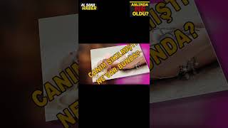 Gülşenden Kucak Dansi Açiklamasi