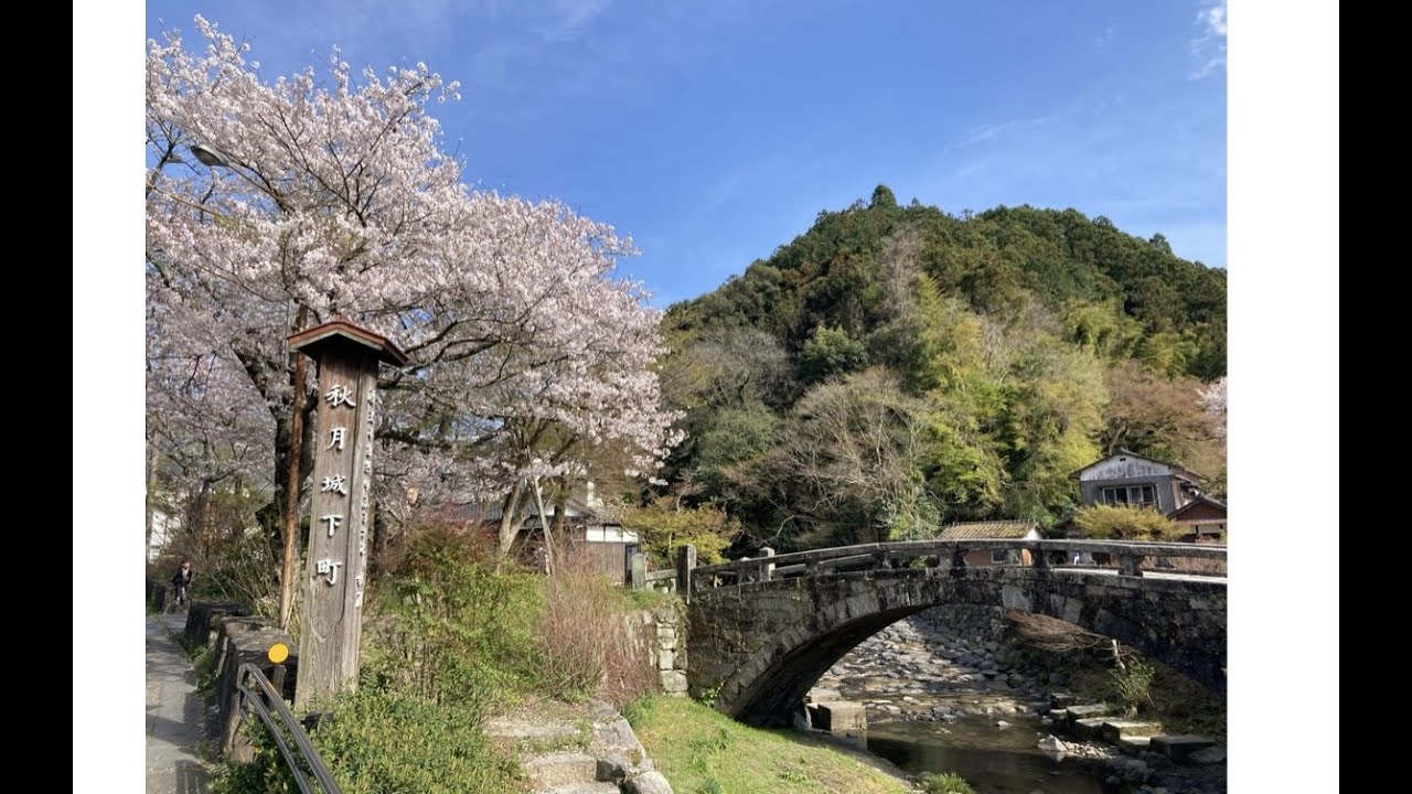 満開の桜で美しい秋月をお散歩してみた♪（福岡県朝倉市）2022.4.1撮影　cherry blossoms in FUKUOKA, Asakura-city, Akizuki