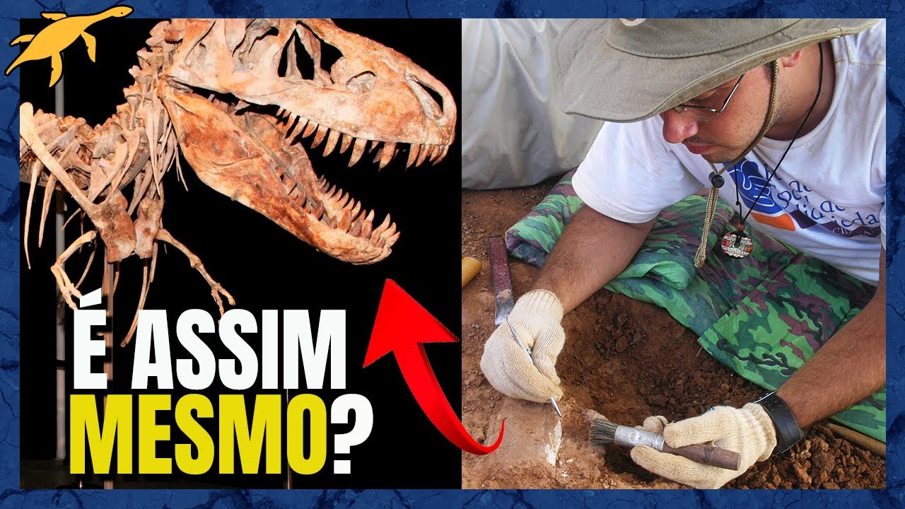 COMO ser PALEONTÓLOGO (A) no BRASIL?