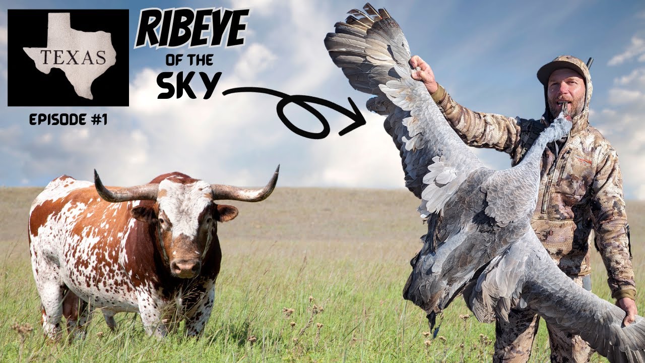 Sandhill Crane Hunting *RIBEYE OF THE SKY!* How we got there, where we