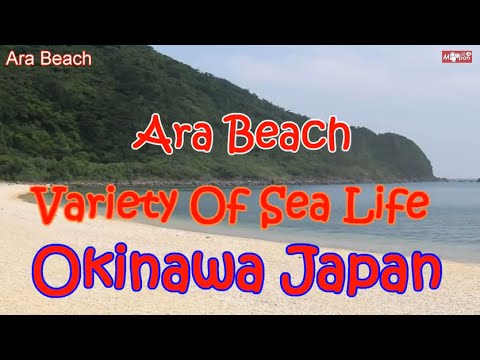 アーラ浜-　きれいな夕日☆デートスポット☆久米島　日本　沖縄36