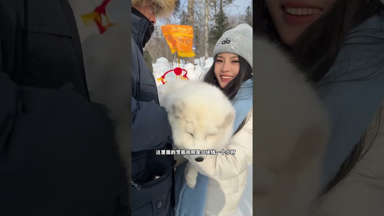 和40岁东北老公的雪乡4天3夜vlog ，看看我们花了多少钱 #东北旅游  #雪乡#vlog十亿流量扶持计划 #滑雪 #哈尔滨