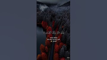 تلاوة هادئه تريح القلب ❤ قران كريم ❤ قرآن ❤قران ❤ تلاوة خاشعة ❤أرح سمعك ❤ short ❤
