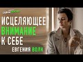 Вебинар "Исцеляющее внимание к себе" Евгения Волк