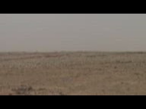 Restoring degraded desert land with native plants  +REPLAY+