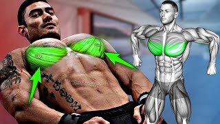 5 Lower Chest Workouts for Strong, Defined Pecs