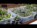 Beginning of video