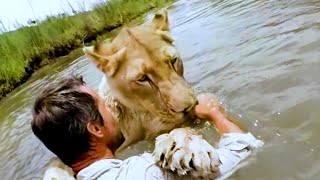 Can Lions Swiм? | The Lion Whisperer - YouTuƄe