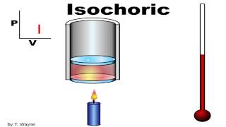 Isochoric / Isovolumetric Animation
