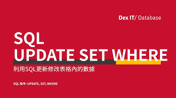 【SQL】 Access SQL UPDATE 更新修改資料表內的數據 教學 (中文字幕) (可調節速度)