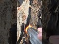 P2001 chúng tôi tìm thấy chúng gỗ hóa thạch #khuongthach #youtubeshorts #gohoathach