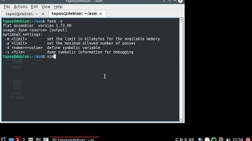 FASM | My first step to osdev