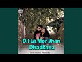 Dil la mor jhan dhadkana