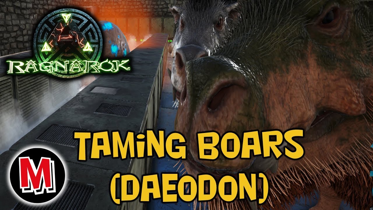 ARK: Taming Boars (Daeodon) & Hatching Giganotosaurus Eggs & Tameing T-Rex 150 .