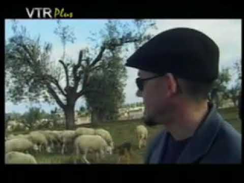 اجمل لقطة في فلم الحاجة زازا 