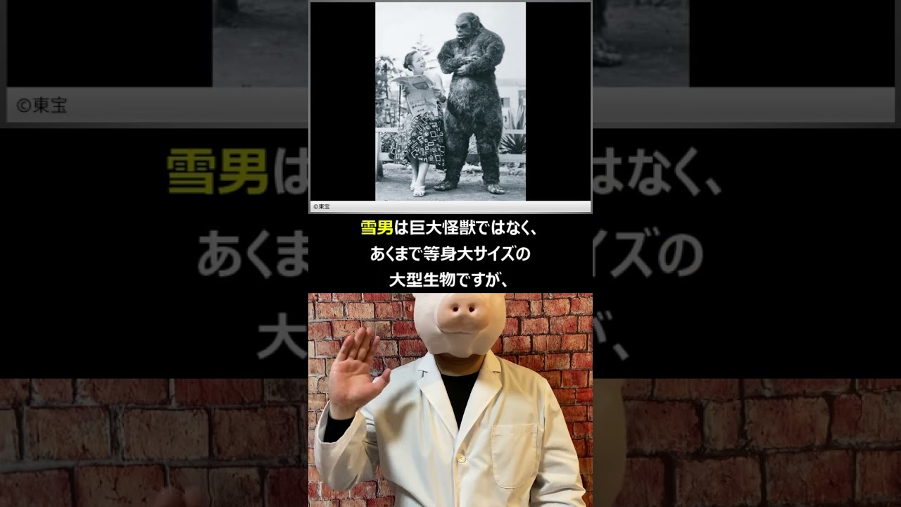 獣人雪男 キャスト社 フィギュア 東宝特撮 怪獣 2025年最新】獣人雪男