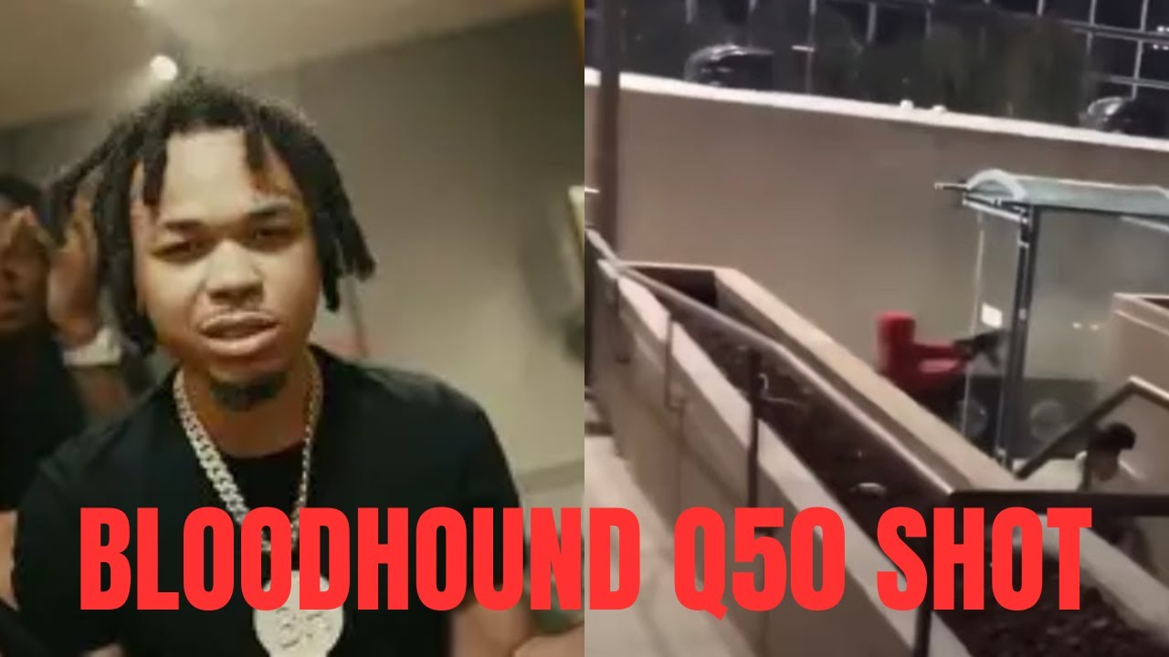 BloodHound Q50 Shooting Footage in 4K! - YouTube