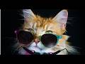 Boney M Daddy Cool Arabic Eurodance Remix 26 2K Video Mix Shuffle Dance DJ Martyn Remix 