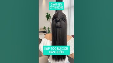 Kẹp tóc búi xòe Hàn Quốc 2