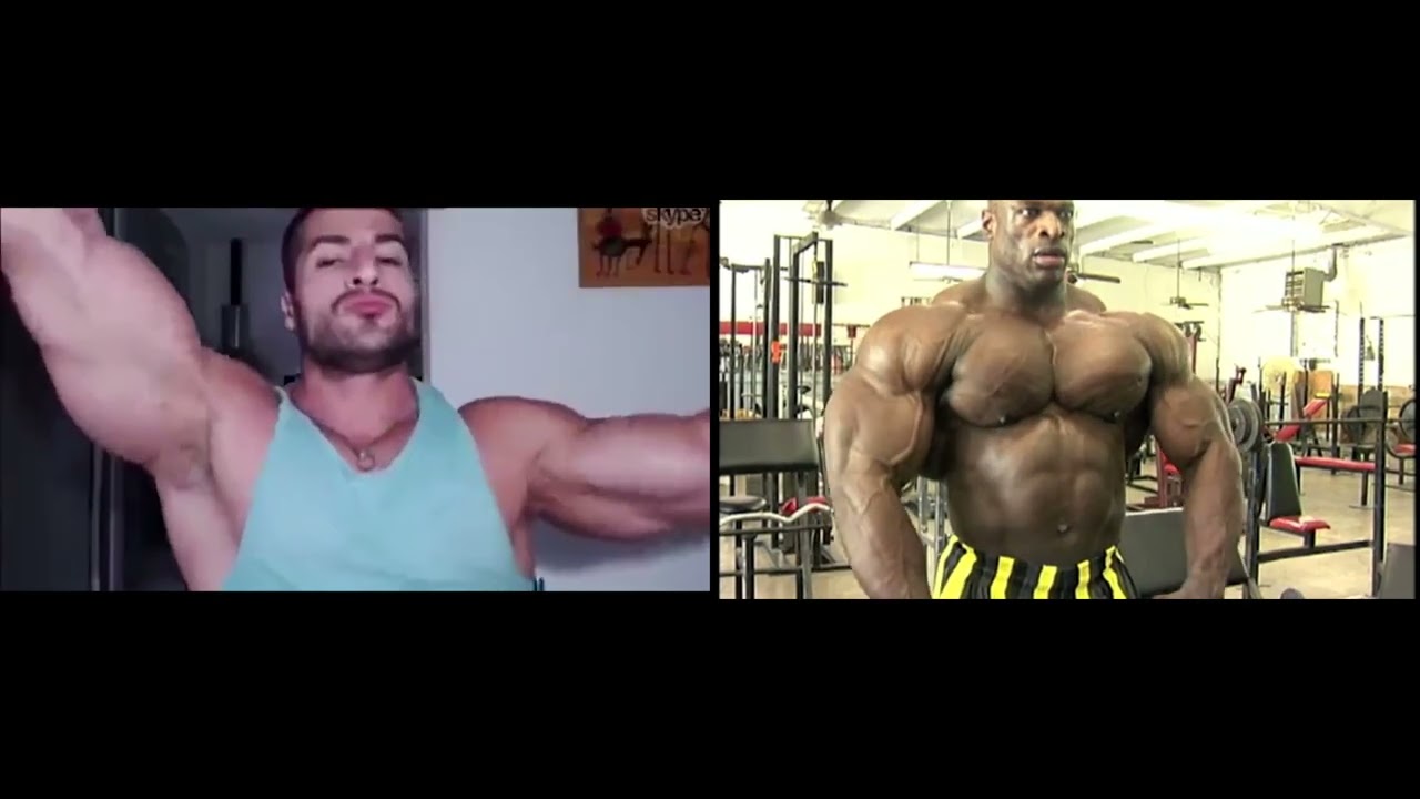 O Gymnase