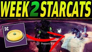 ALL WEEK 2 STARCAT LOCATIONS GUIDE - Temple of Queen's Wrath/ Lost Sector Starcats | Destiny 2