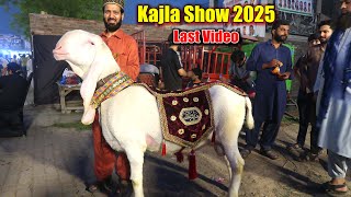 Kajla & Bakra Show Lahore 2025 Final Video