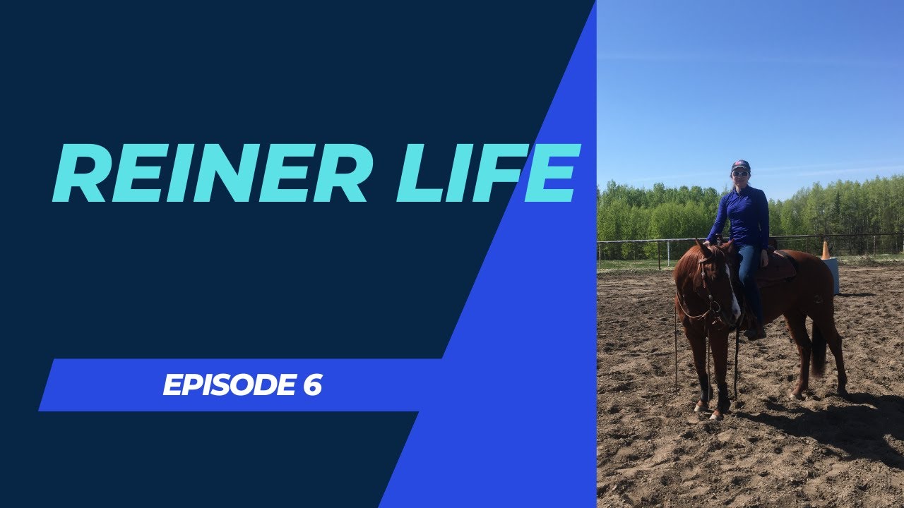 Reiner Life Ep 6 Warming Up My Reining Horse YouTube