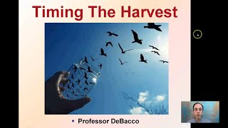 Timing The Harvest
