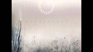 Animals as Leaders - Isolated Incidents